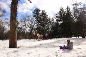 horse sleigh rides in New London